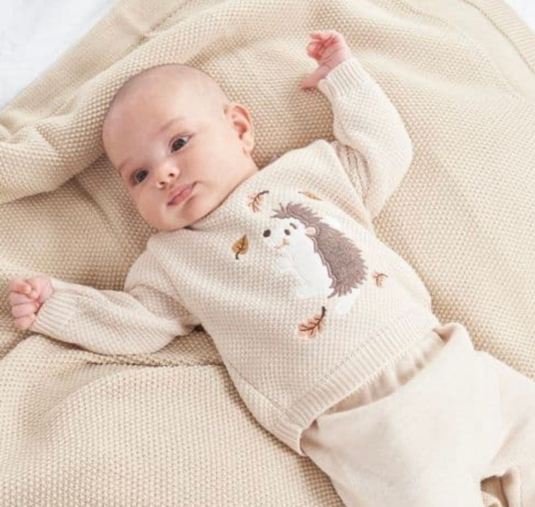 Hedgehog jumper & Leggings
