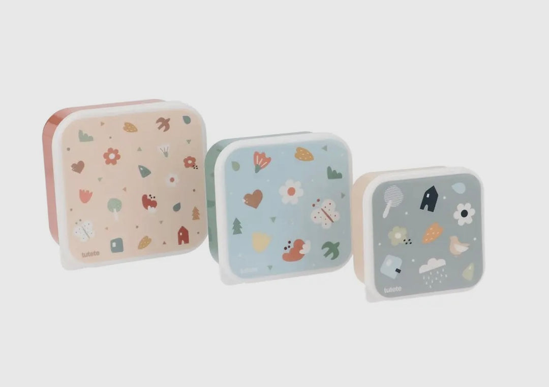 Nature lunch boxes