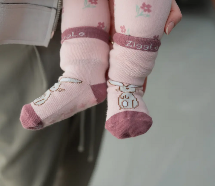 Bunnies Boxes Socks Set