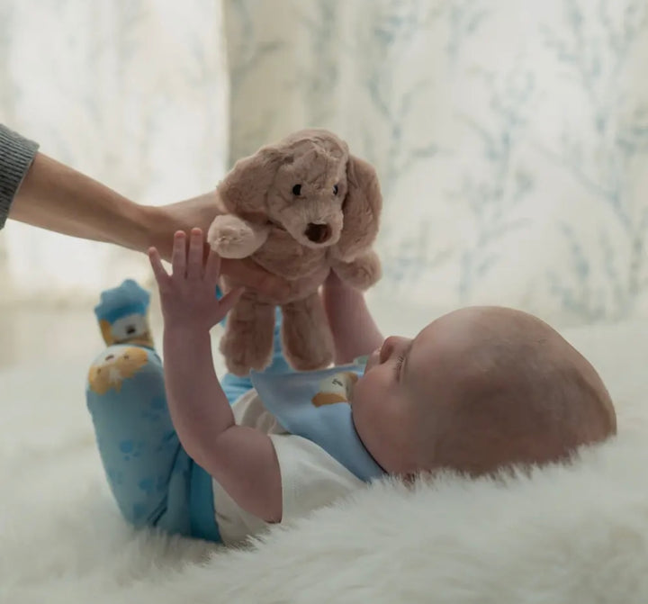 Puppy Plush Toy