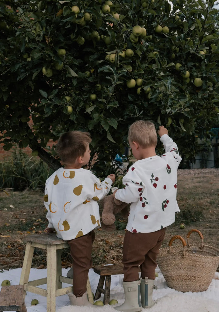 Organic Cotton Pear Sweater