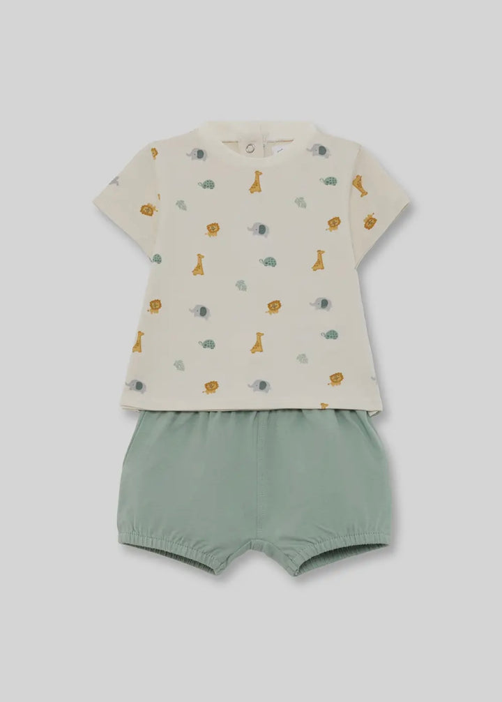 Safari Summer Set