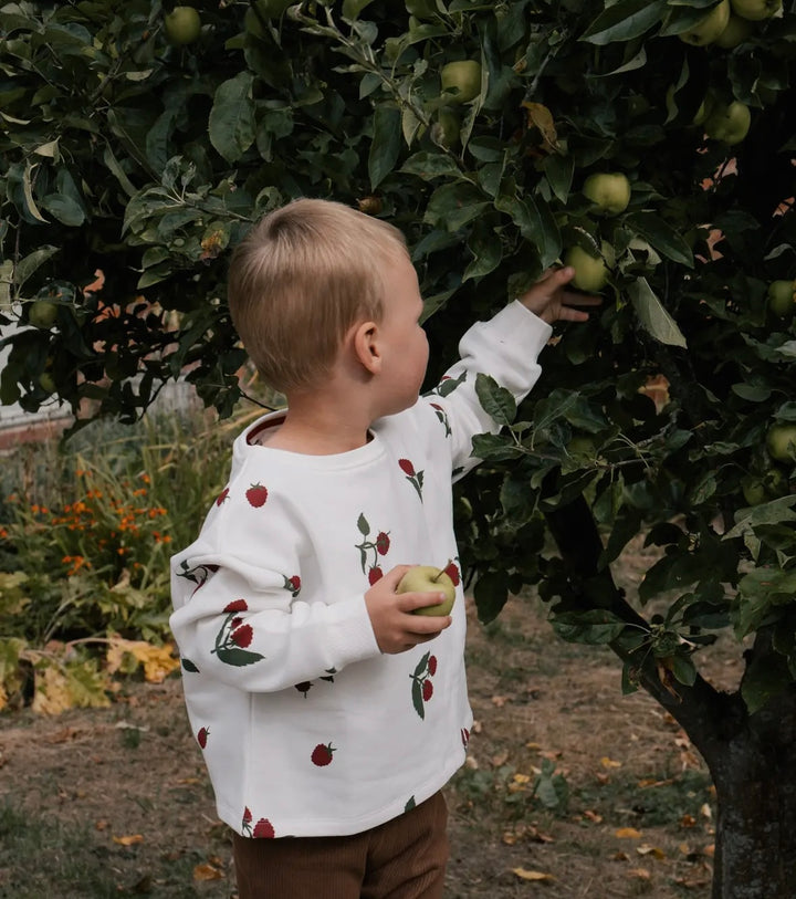 Organic Rasberry Unisex Sweater