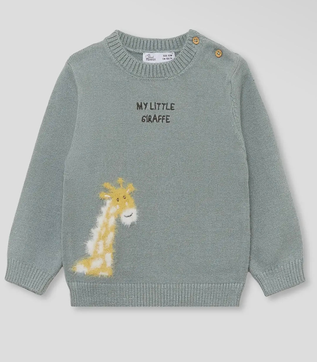 My little giraffe jumper