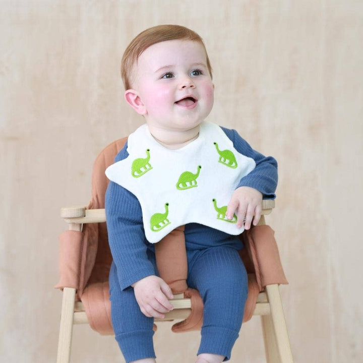 Dinosaur Baby Bib